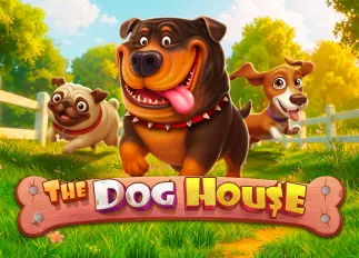 สล็อต pg เว็บตรง แตกหนัก The Dog House ทดลองเล่นฟรี